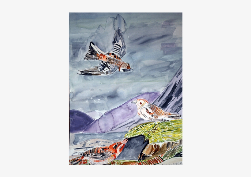 Watercolor Birds 3 - Watercolor Painting, transparent png