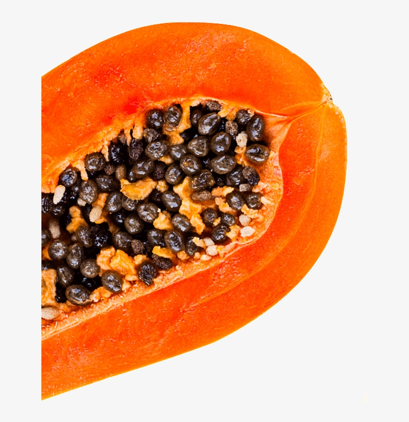 Papaya, transparent png