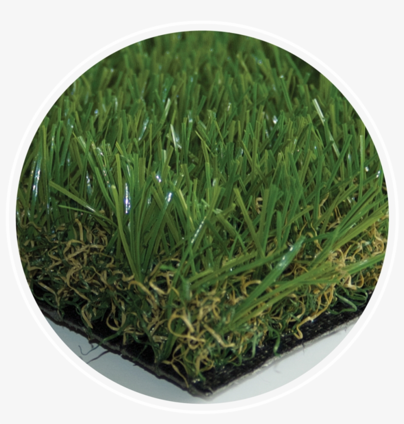 Eco Grass, transparent png