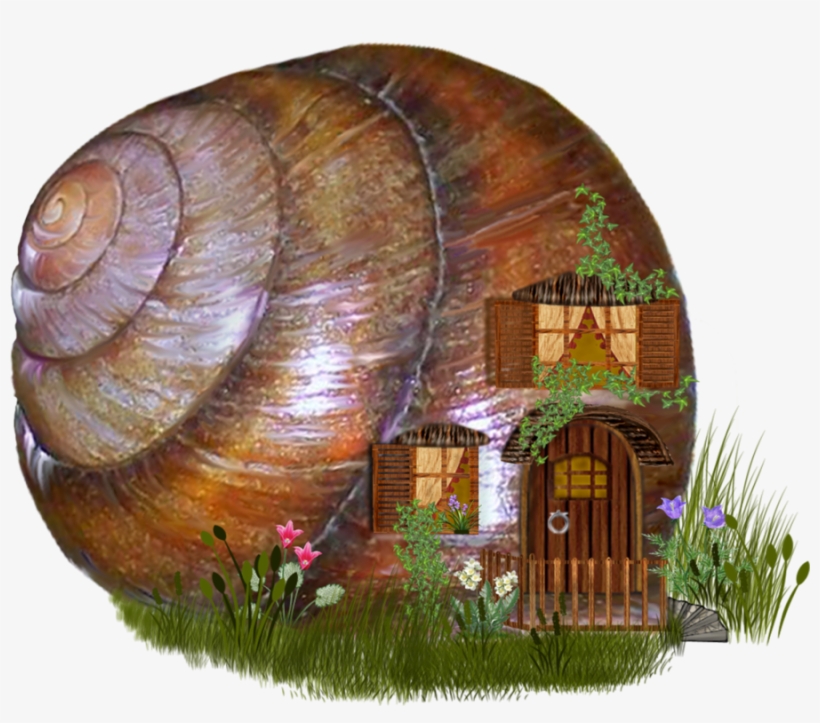 Clipart Royalty Free Stock By Roula On Deviantart - Snail, transparent png