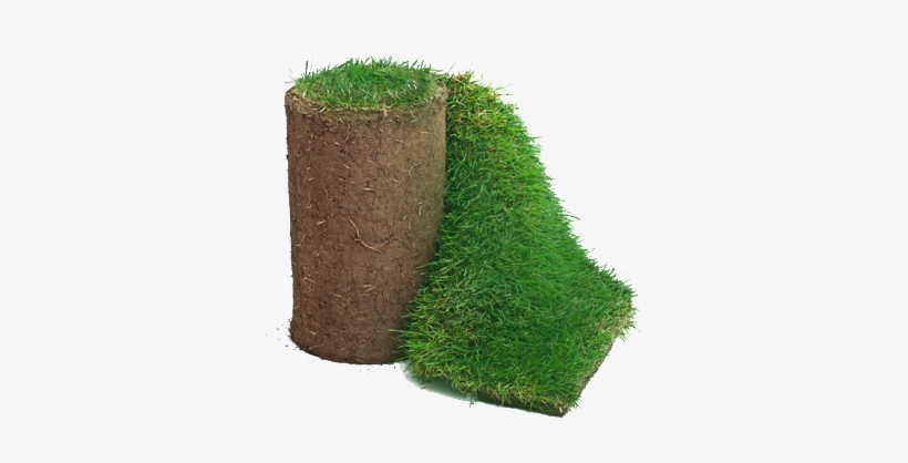 Focused On Sod - Sod Roll, transparent png