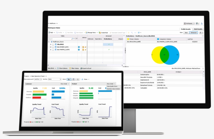 Sap Information Steward, transparent png
