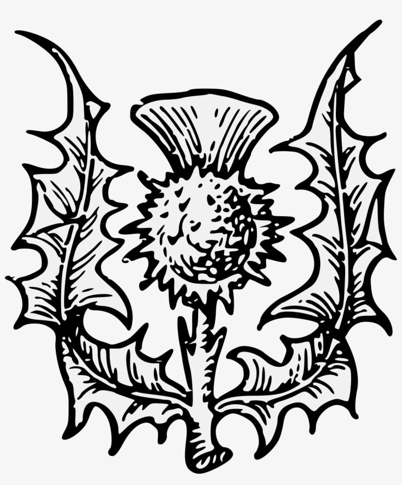 Details, Png, transparent png