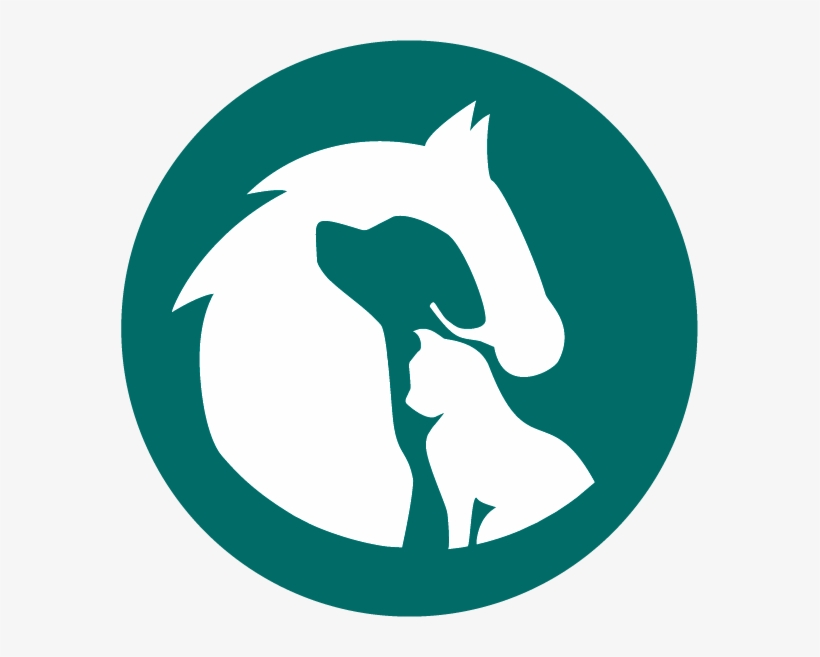 Animal, transparent png