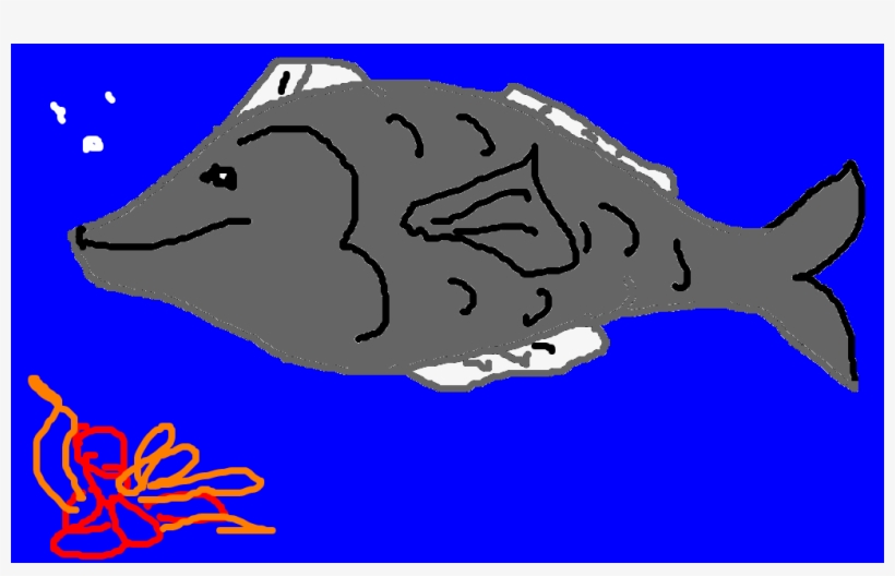 Peixe, transparent png