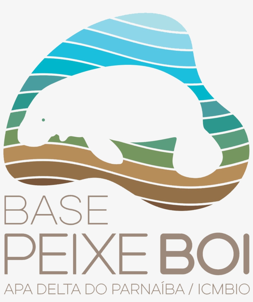 Base Peixe-boi, transparent png