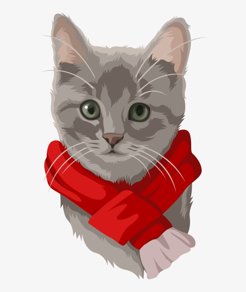 Furry & Bright Holiday Cards, Set Of, transparent png