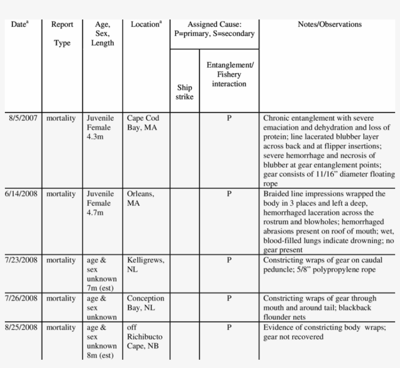 Confirmed Human-caused Mortality And Serious Injury, transparent png