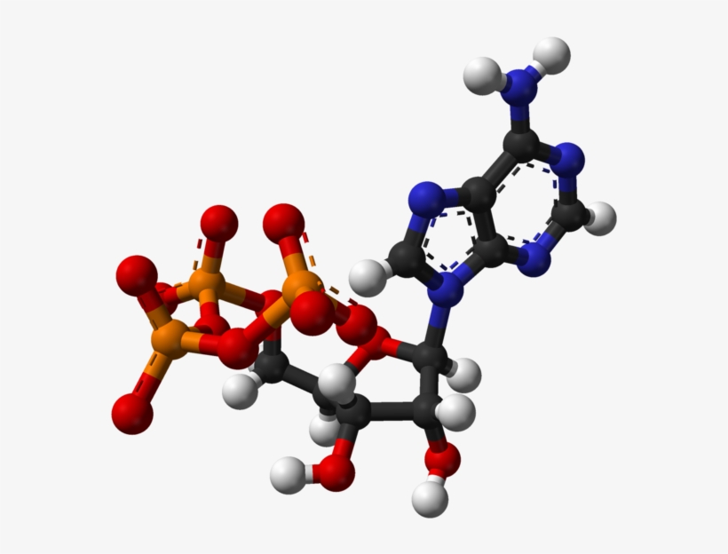 Atp, transparent png