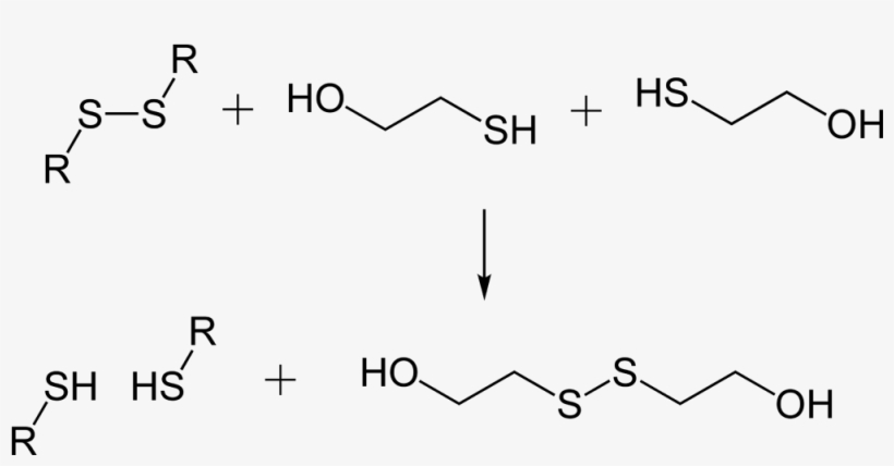 Disulfide Bond Cleavage By 2 Mercaptoethanol 2d, transparent png