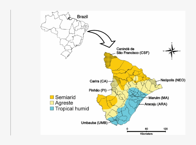 Map Of The State Of Sergipe Showing The Locations Of, transparent png
