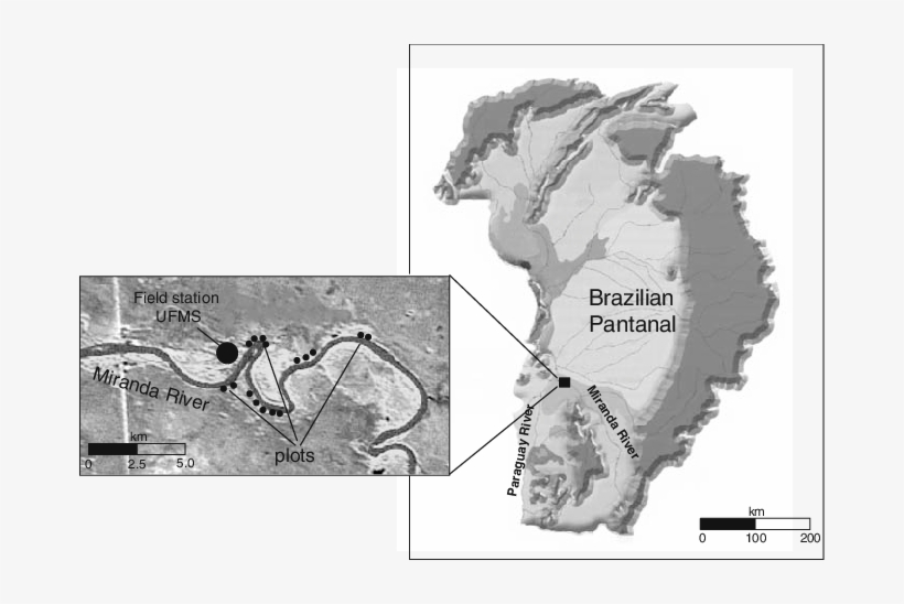 Location Of The Study Plots Within The Brazilian Pantanal, transparent png