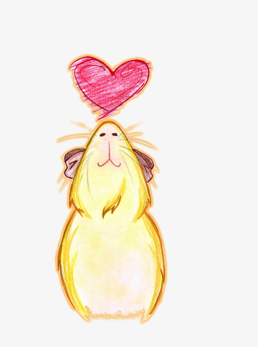#meerschweinchen #kunst #meersau #guinea #pig #art, transparent png