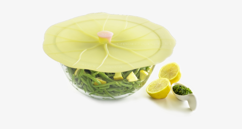 Lily Pad Lid, transparent png