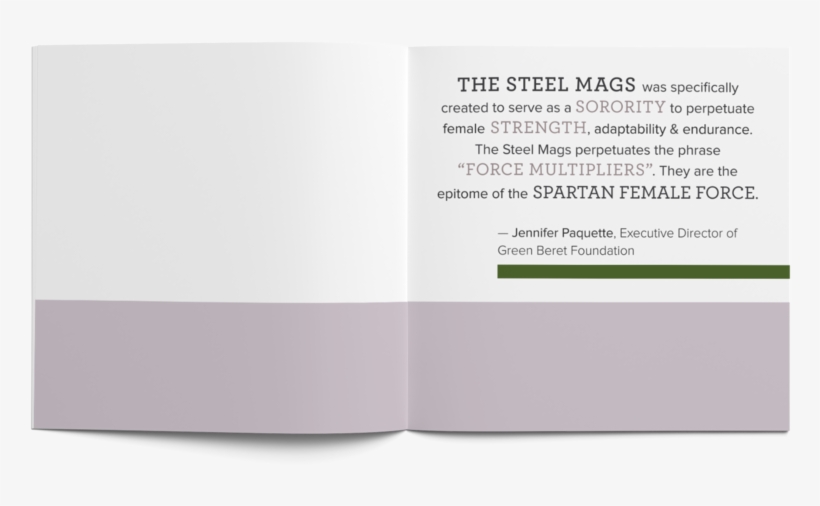 Steel Mags 1-2, transparent png