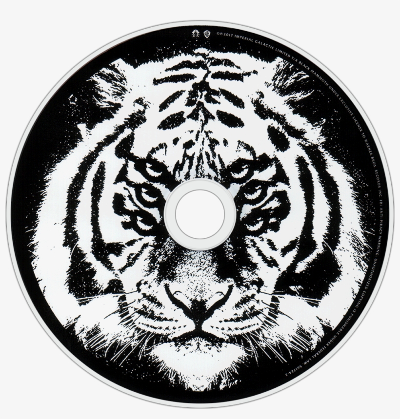 Royal Blood How Did We Get So Dark Cd Disc Image, transparent png