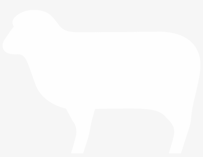 Aprendizaje De Ecografia Equina, transparent png