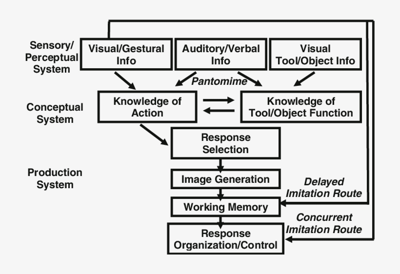 The Conceptual-production Model Of Limb Apraxia, transparent png