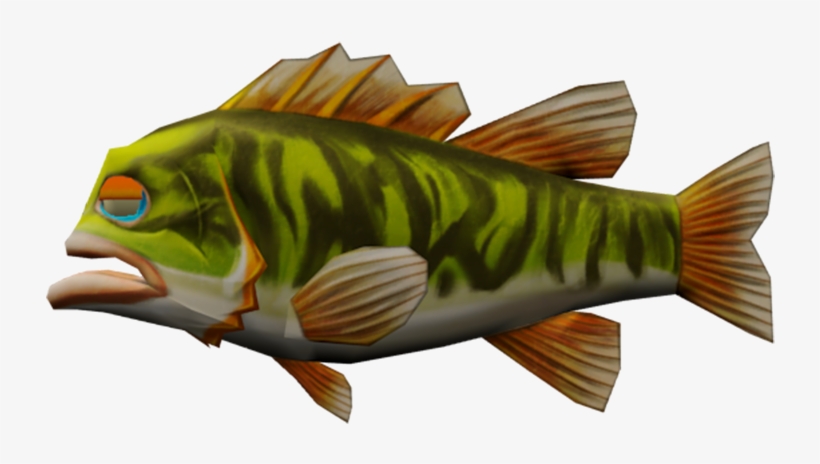 Largemouth Bass Png, transparent png
