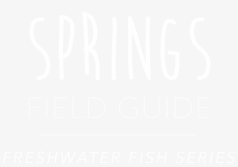 Largemouth Bass, transparent png