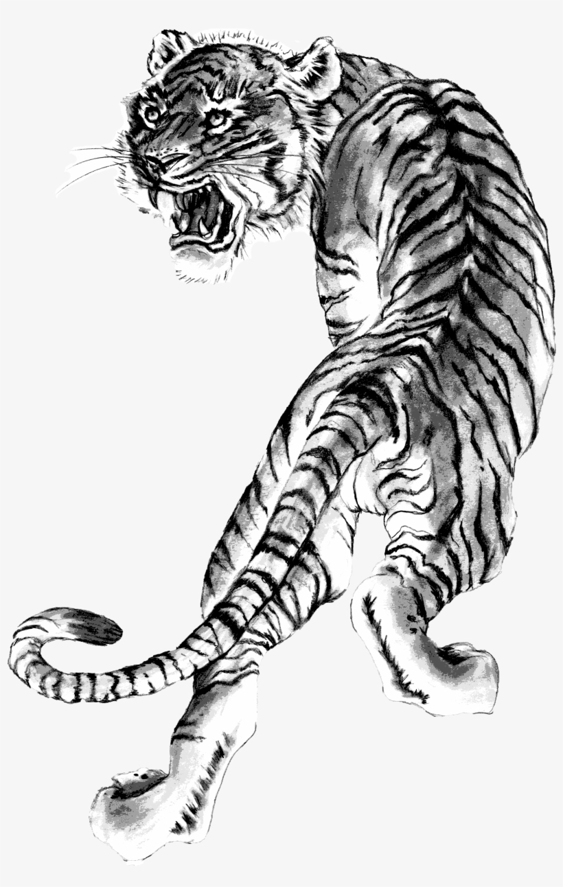Black Belt Program, transparent png