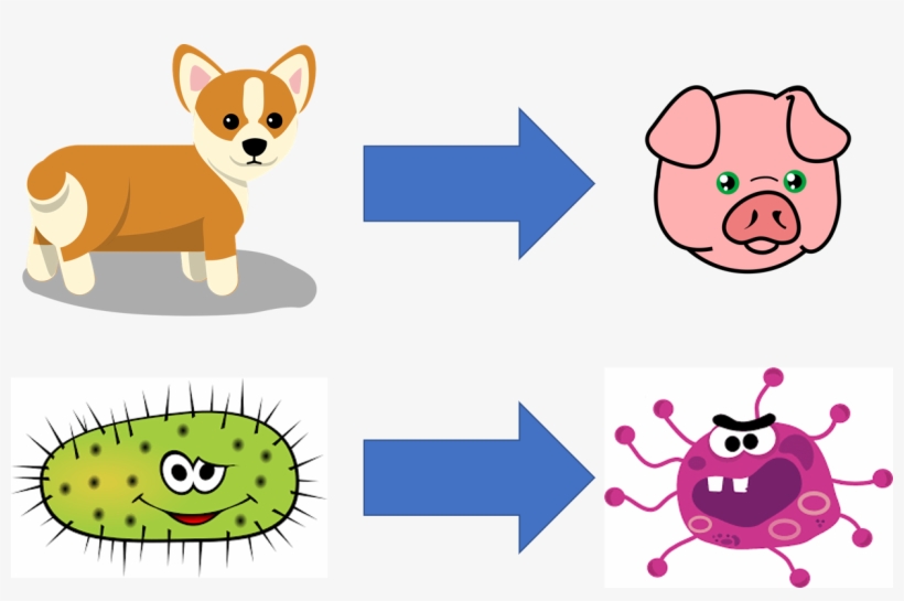 Imagine Your Computer Learning Much More Efficiently, transparent png