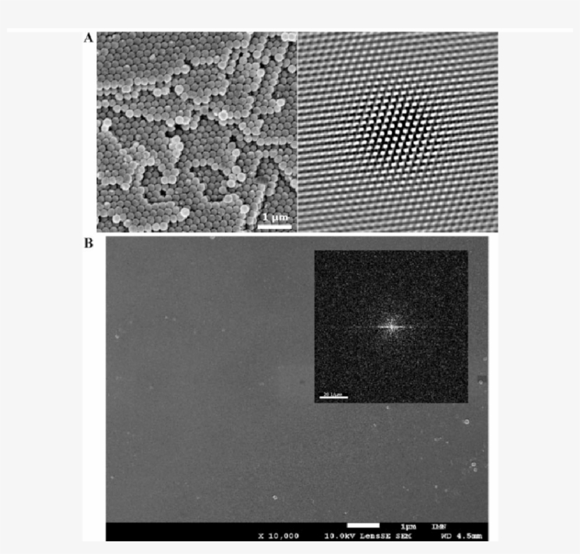 The Position Of The Spheres And The Orientation Of, transparent png