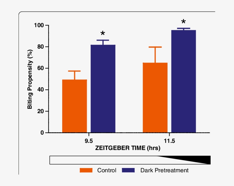 Mosquitoes Exposed To Darkness During The Late Daytime, transparent png