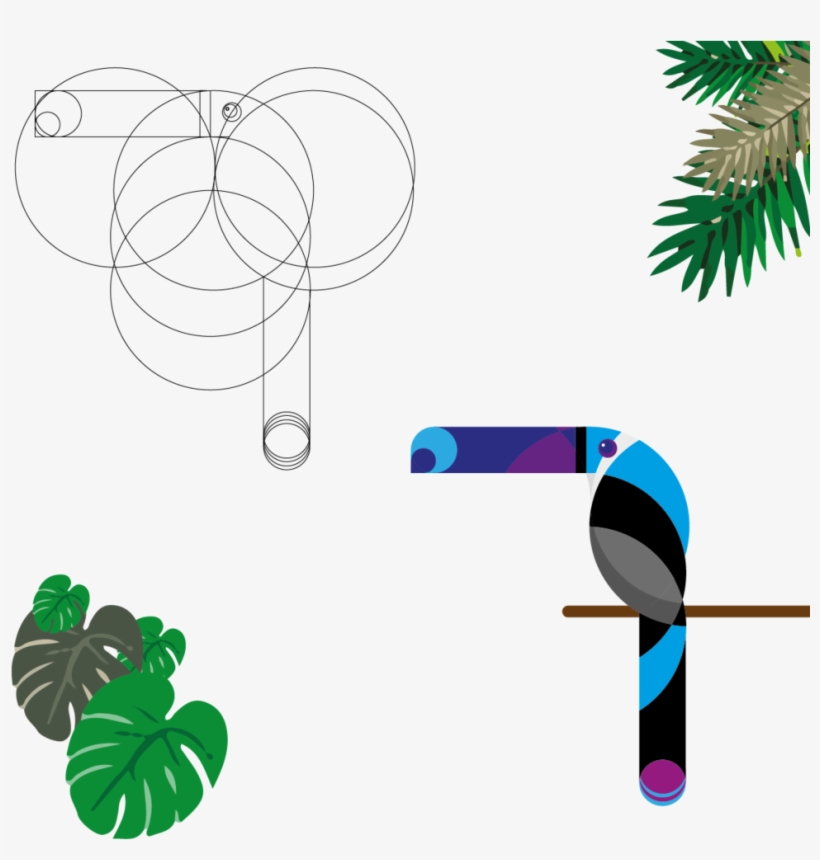 Tucan 2-08, transparent png