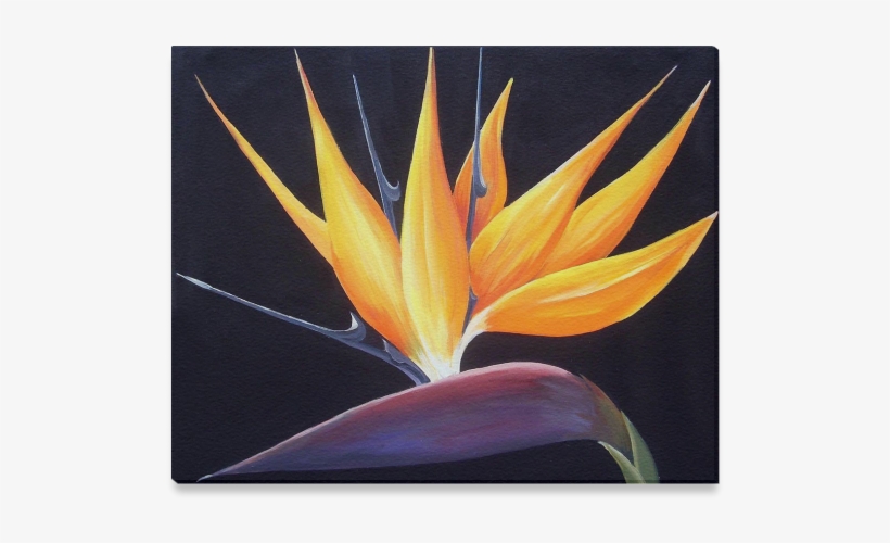 Birds Of Paradise Flower-acrylic On Canvas Painting, transparent png