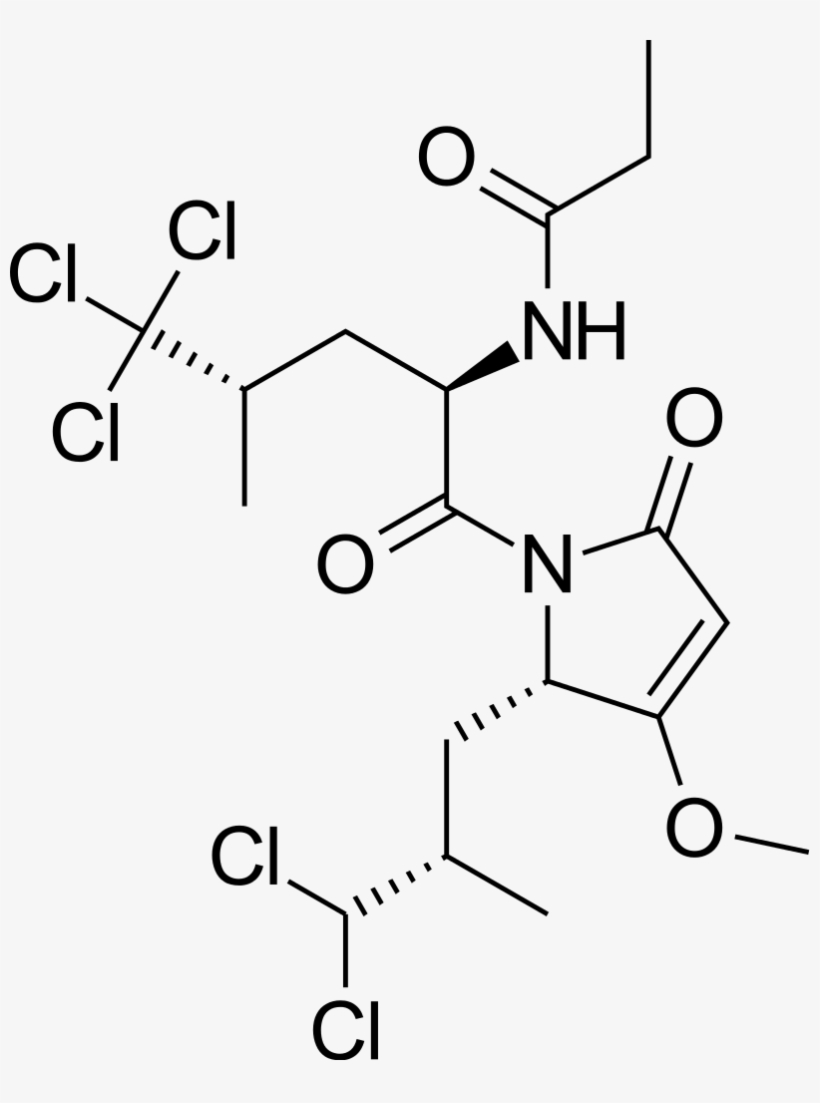File - Sintokamide A - Svg, transparent png