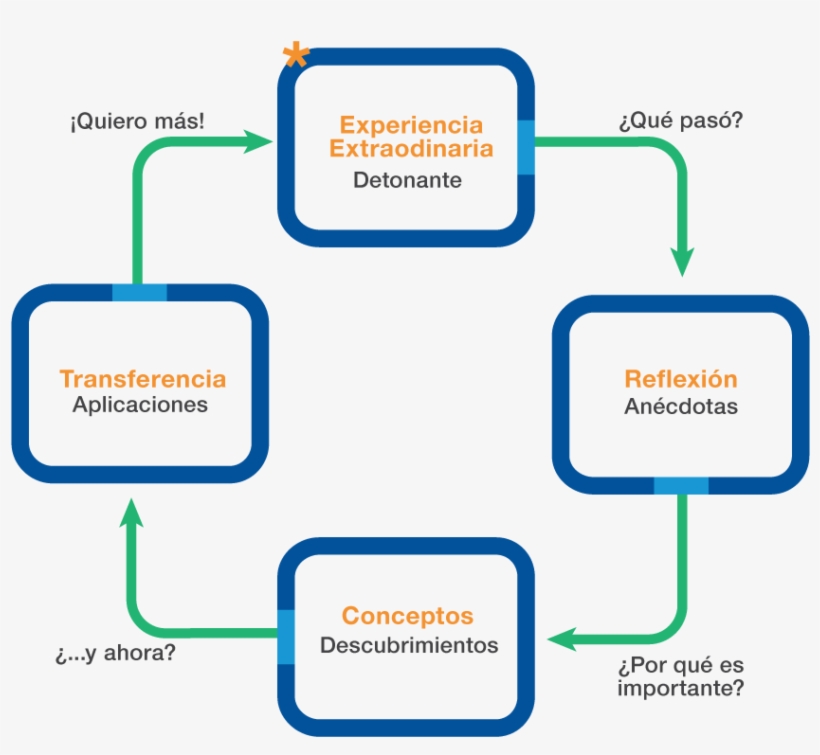 Modelo De Educación Experiencial, transparent png