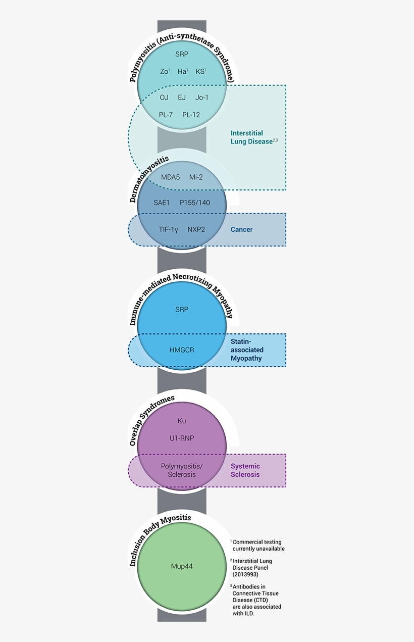 Test Panels, transparent png