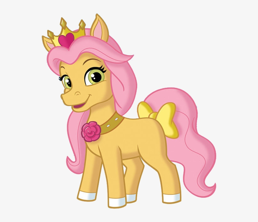 Whpetit, transparent png