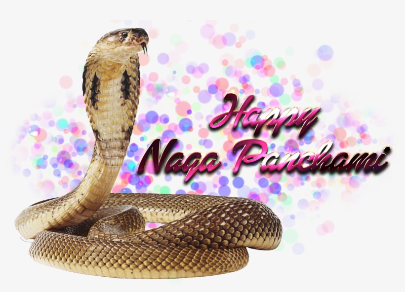 Naga Panchami Transparent Free Png, transparent png