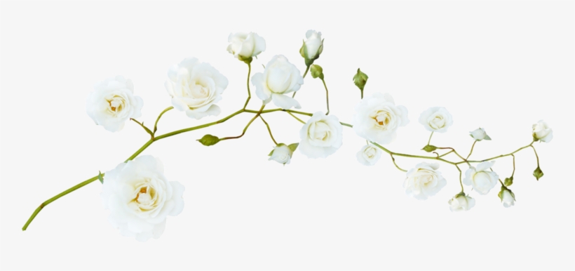 Guirlande Fleur Png, transparent png