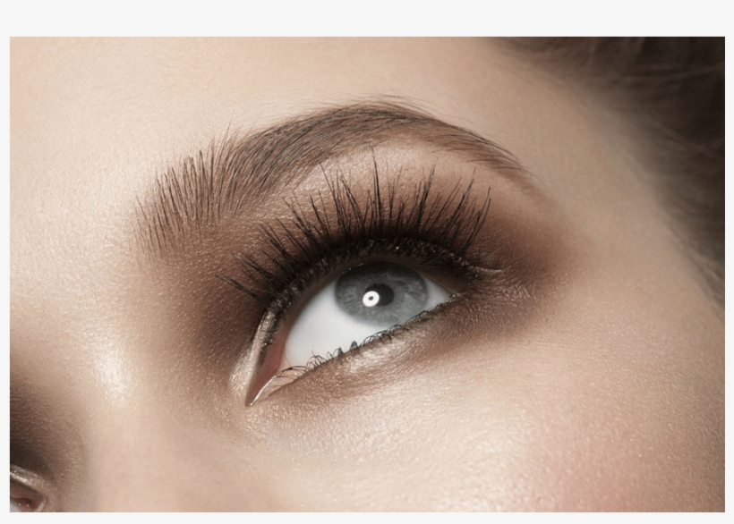 Cejas, transparent png