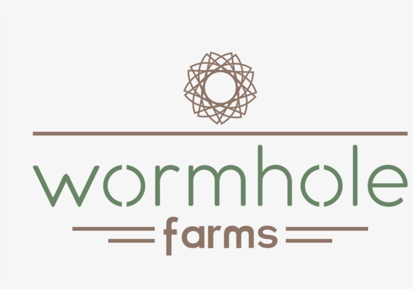 Wormhole Png, transparent png