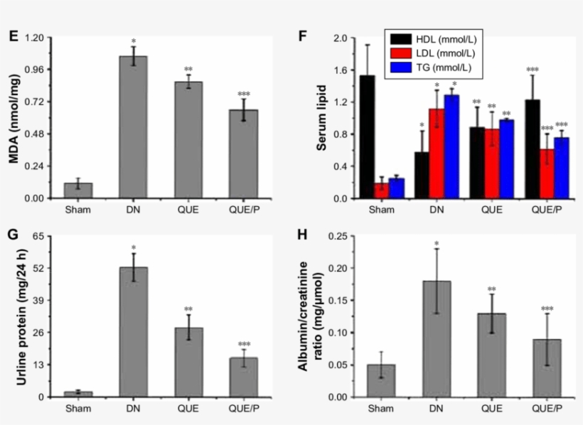 The Activity Of Sod And The Levels Of Blood Glucose,, transparent png
