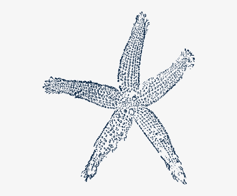 Starfish Prints Single Blue Svg Clip Arts 528 X 599, transparent png