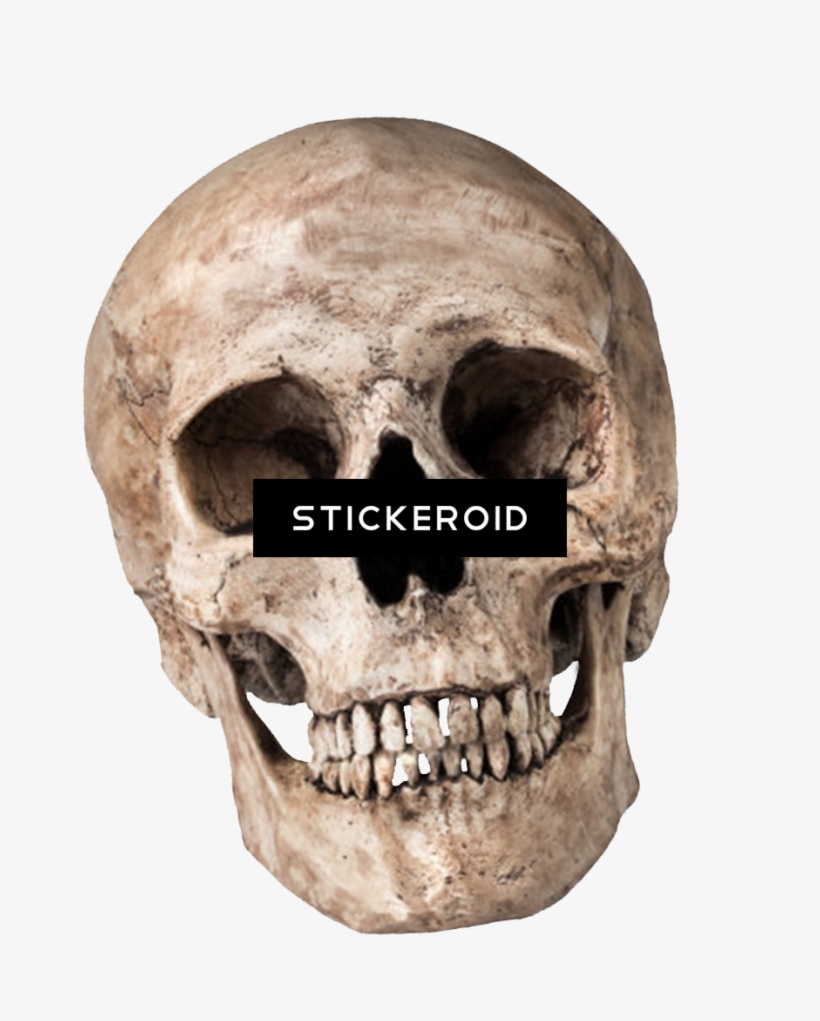 Skull, transparent png