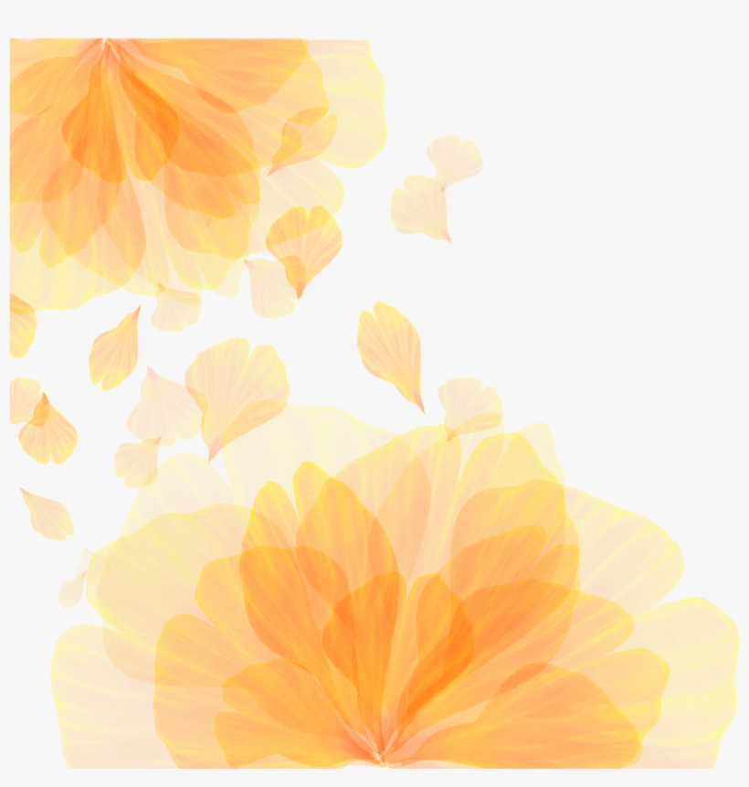 Picture Library Library Computer Wallpaper Orange Flower, transparent png