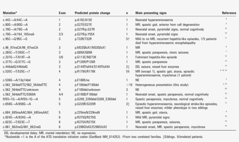 Spectrum Of Reported Slc25a15 Mutations In Hhh Syndrome, transparent png