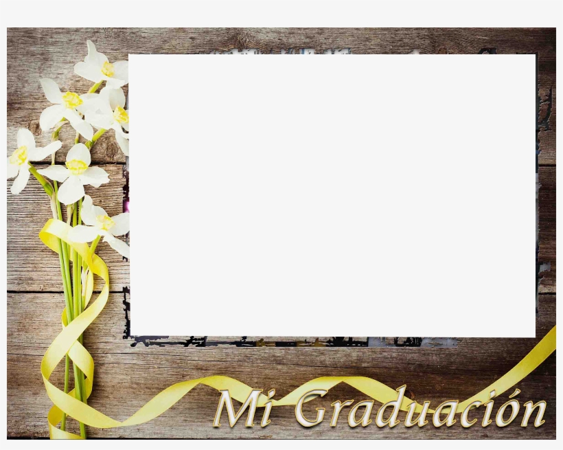 Publicado Por Liliana En, transparent png