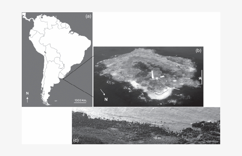 South America Map Indicating The Location Of Isla De, transparent png