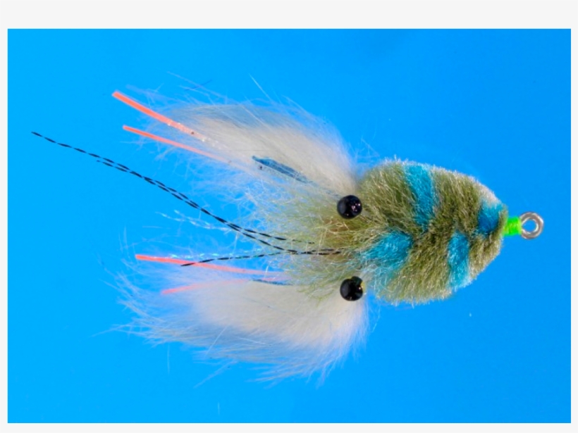 Enrico Puglisi's Tarpon Crab, transparent png