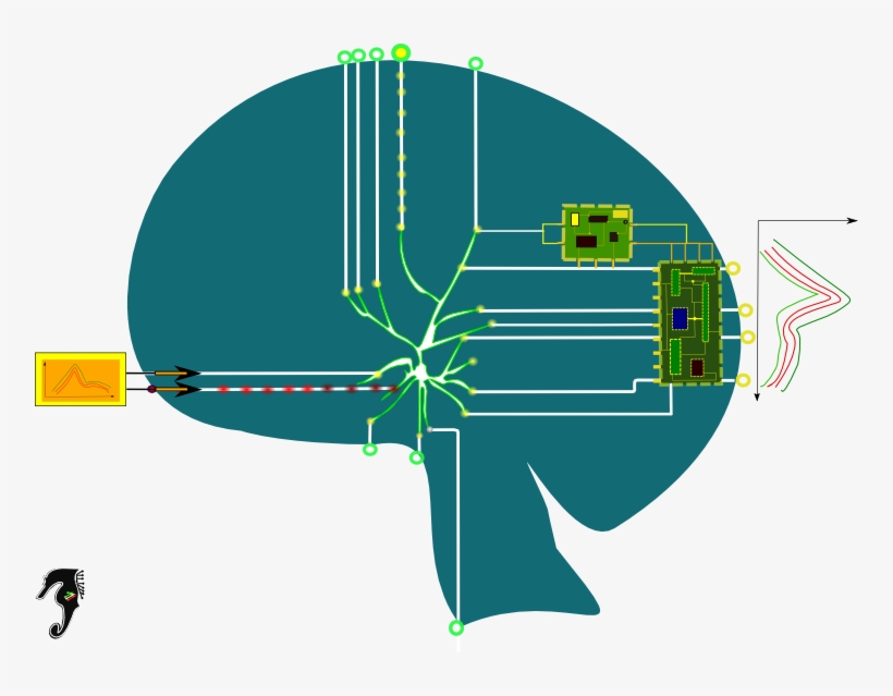 Todo Agente , Aprende Si, Como Resultado De Una Modificación, transparent png