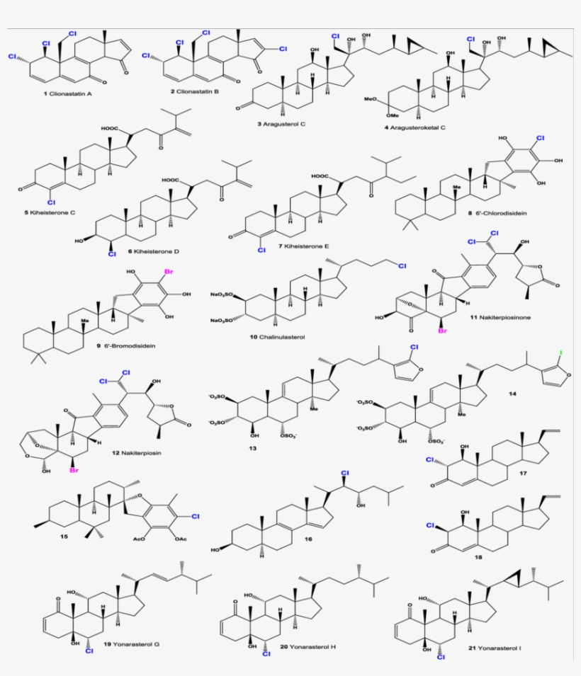 Halogenated Marine Steroids, transparent png