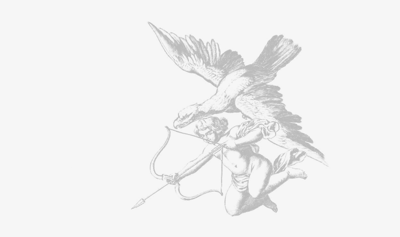 Aquila, transparent png