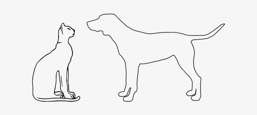 Quien Es Mas Inteligente Perro O Gato, transparent png